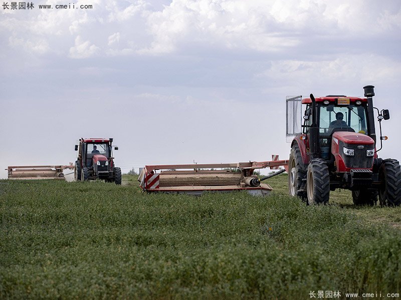 優(yōu)質(zhì)高產(chǎn)牧草收割 優(yōu)質(zhì)高產(chǎn)牧草收割